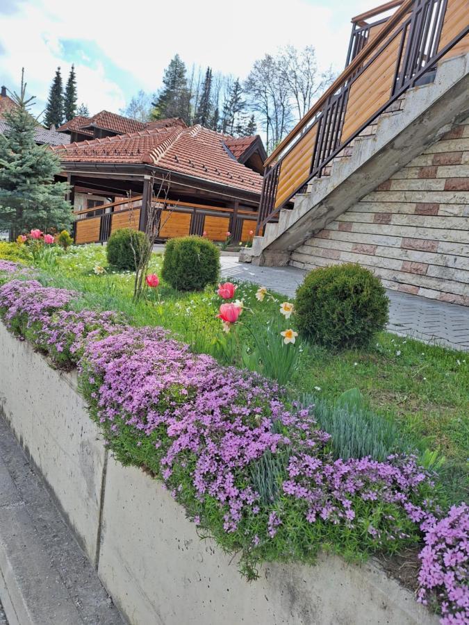 Apartments Monte Vista Ζλάτιμπορ Εξωτερικό φωτογραφία