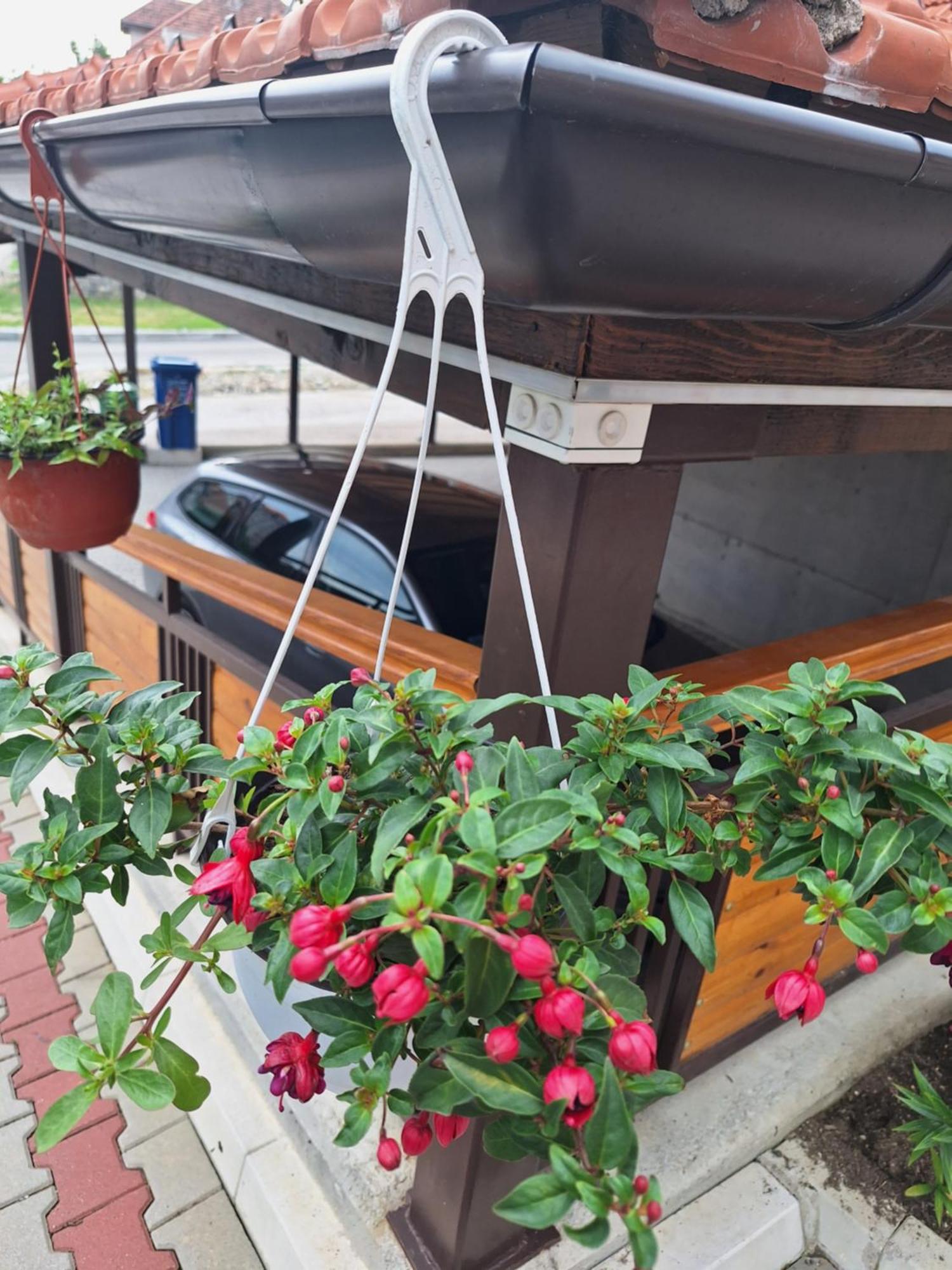 Apartments Monte Vista Ζλάτιμπορ Δωμάτιο φωτογραφία